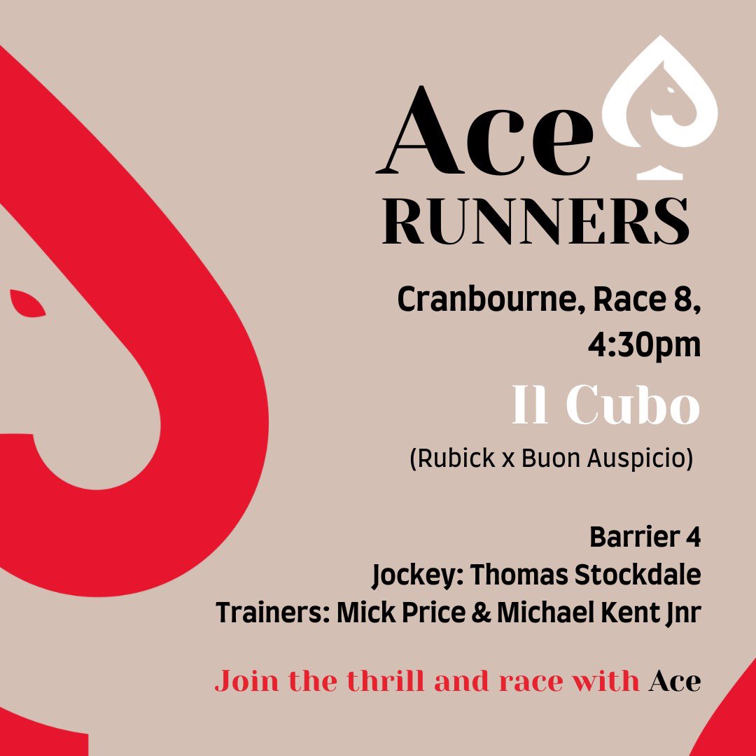 AceBloodstock's tweet photo. ♠️ 3YO Il Cubo (Rubick x Buon Auspicio) lines up in race eight under Thomas Stockdale for @MickPriceRacing on his home track @CranTurfClub today!
Here’s to a great day of racing 🍀
#RaceWithAce #JoinTheThrill https://t.co/NConNgNPYr