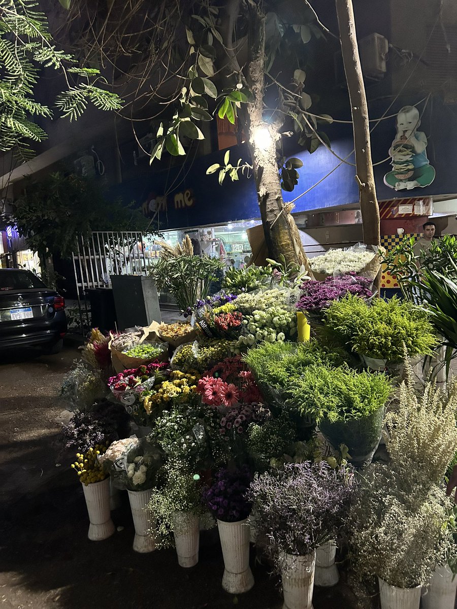 88i50's tweet photo. Zamalek🧡.’ https://t.co/nka3LF0loL