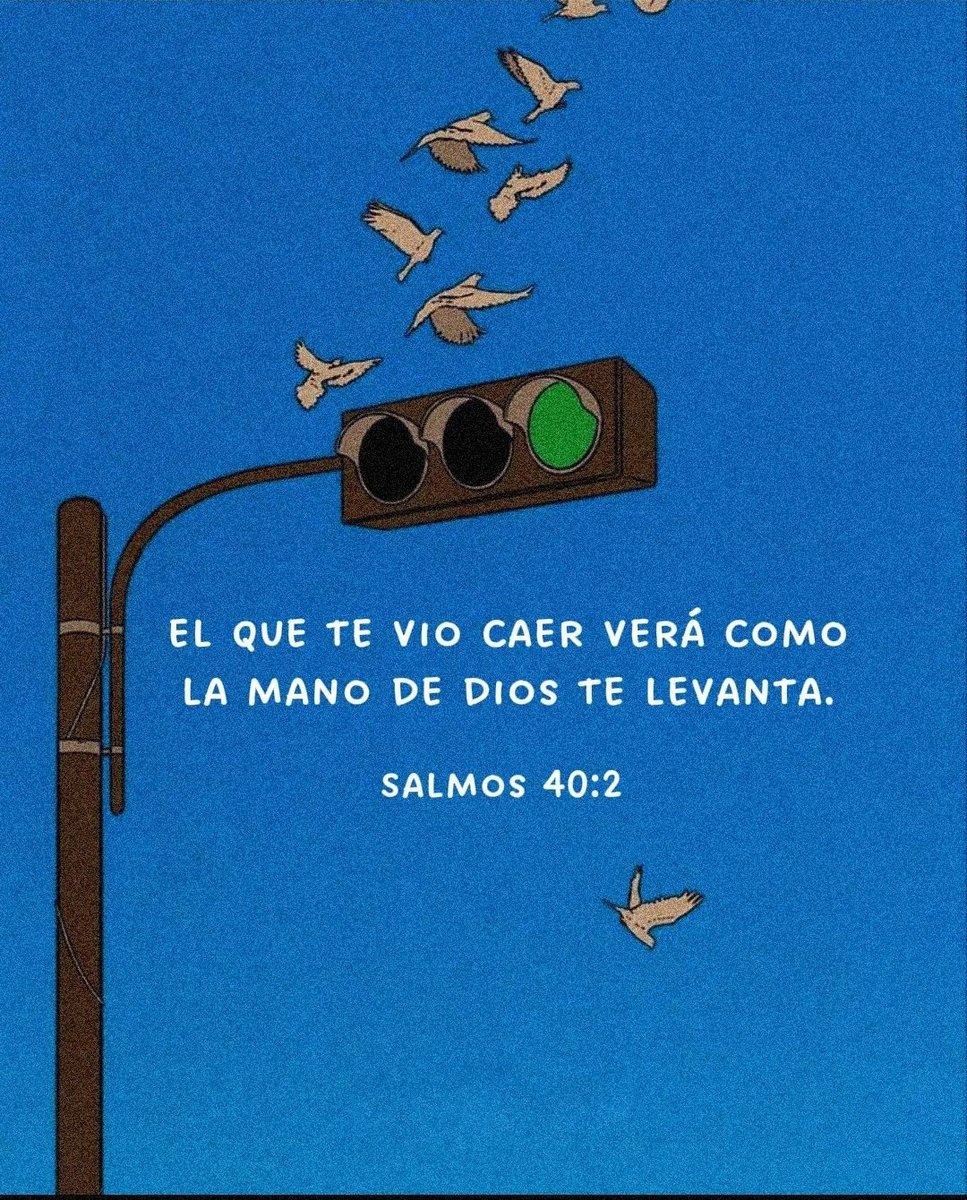 El Salmista tweet media