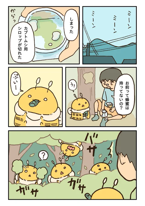 少年とはちの夏休み後編(1/5)

 #次にくるマンガ大賞2024 ノミネートされました。よろしくお願いします。 