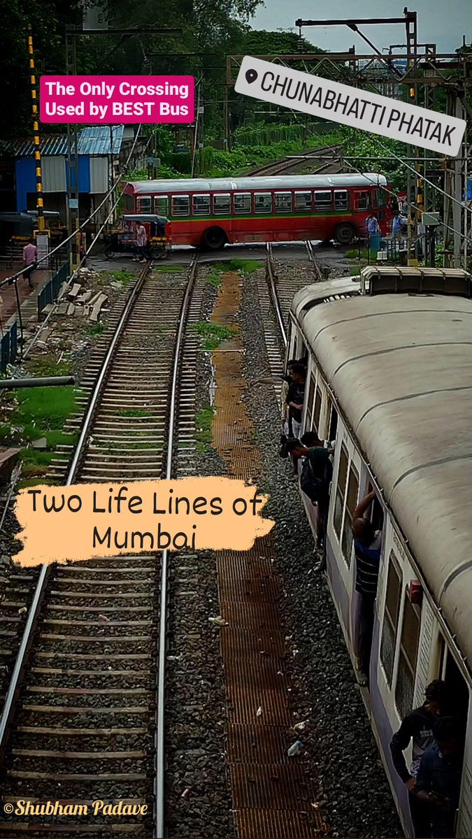 PadaveShubham's tweet photo. Two Life Lines of #Mumbai

@myBESTBus Crossing RailTrack at @Central_Railway's #Chunnabhatti Railway Crossing while Local Train towards #CSMT waiting for departure.

A Rare Capture of Old Classic BEST Bus crossing RailTracks which will vanish from Mumbai within comings years. https://t.co/JaEoSHxNmt