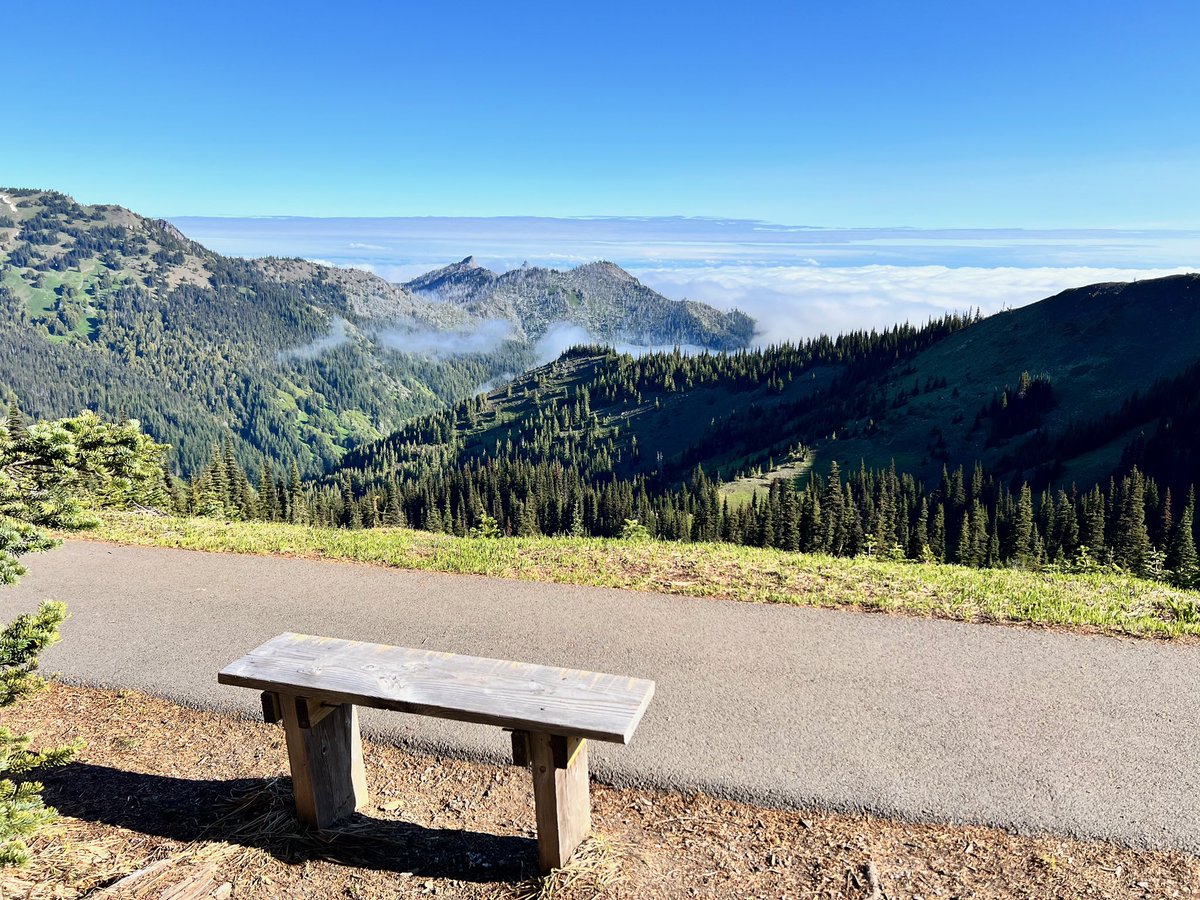 PicturesBench's tweet photo. My most favorite benches from Olympic National Park @MyFaveBench @OlympicNP #benchfan https://t.co/gfl1rPJ2a2
