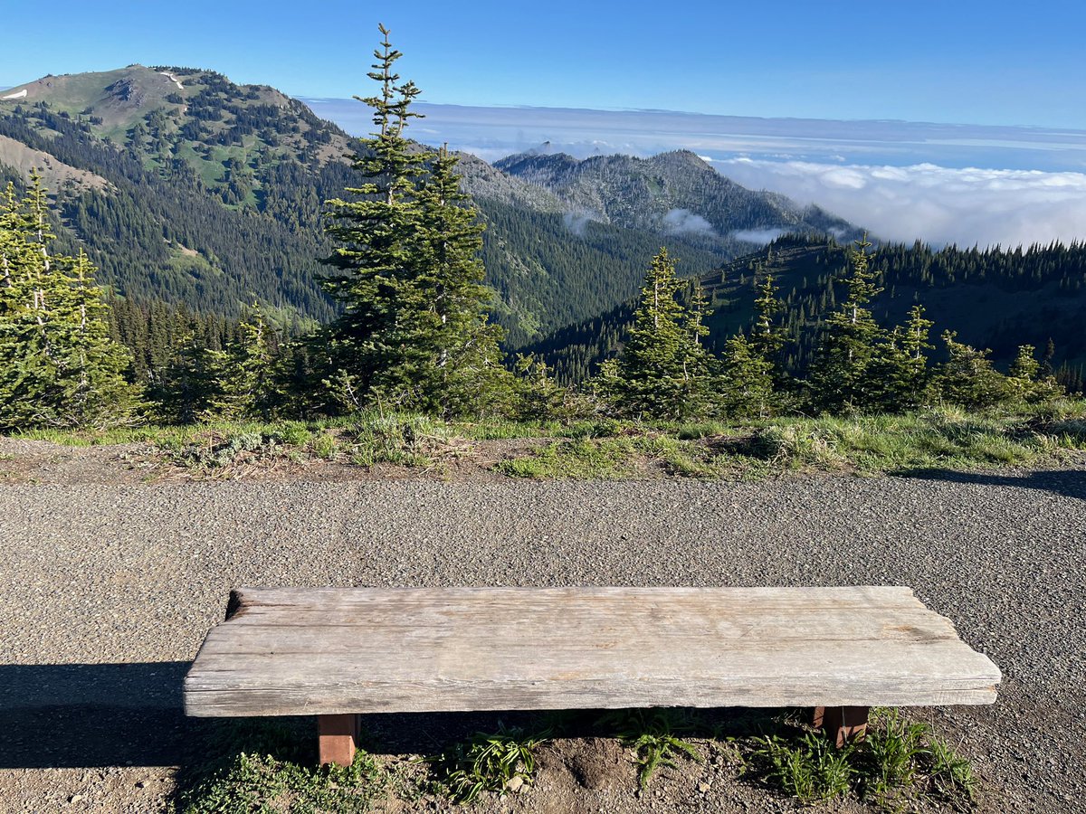 PicturesBench's tweet photo. My most favorite benches from Olympic National Park @MyFaveBench @OlympicNP #benchfan https://t.co/gfl1rPJ2a2