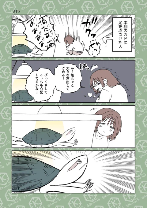 亀飼い4コマ まとめ読み(4/4) 