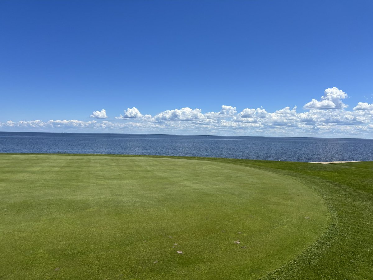 tmalcolm6's tweet photo. Birdie Time! ☀️⛳️ 

Shop our Sunday Grey merch today 
https://t.co/IkDjAIN25i https://t.co/QkfHkXLSWP