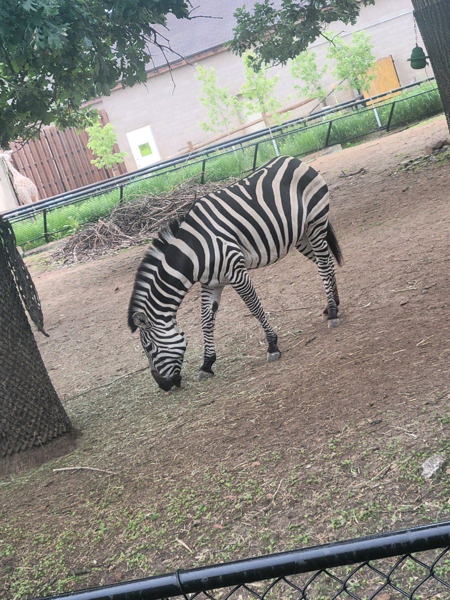 Date day! Lunch, zoo, and snowcones 💕