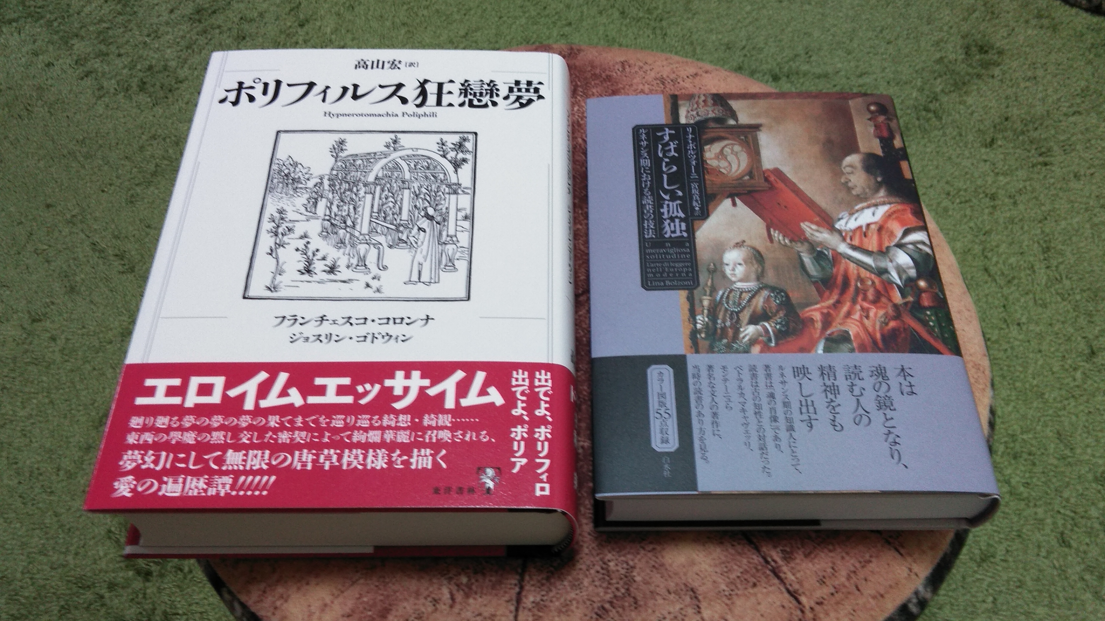 出デデデ! 高山宏〈訳〉『ポリフィルス狂戀夢』(東洋書林 出デデデ! 高山宏〈訳〉『ポリフィルス狂戀夢』(東洋書林