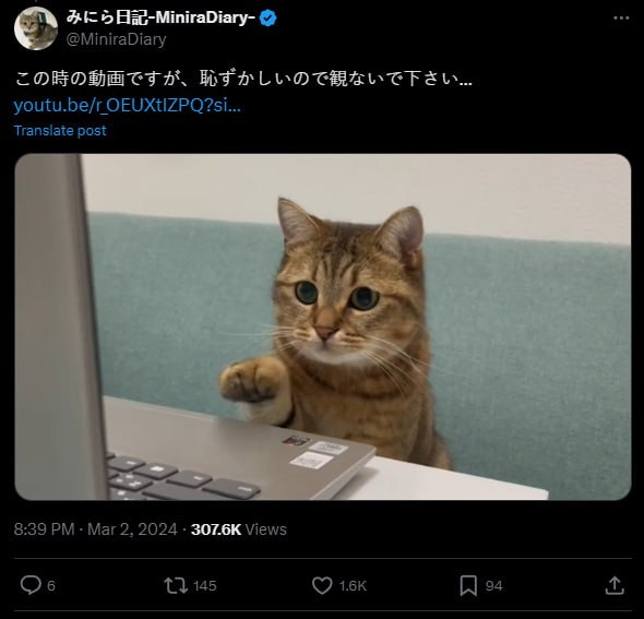 CatCornCoin's tweet photo. Enter - Sending 100 SOL to $MINIRA

$MINIRA's working hard

#MINIRA #CAT #CORN #MEME #BINANCEC https://t.co/IAQz5Cq9iv