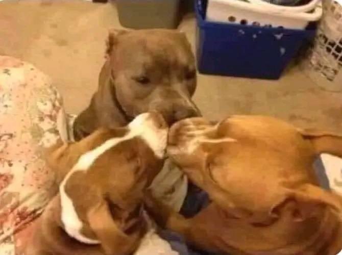 Mi mamá: *A esta hora ya han de estar picando el pastel*

Yo, con mis amigxs en la peda: