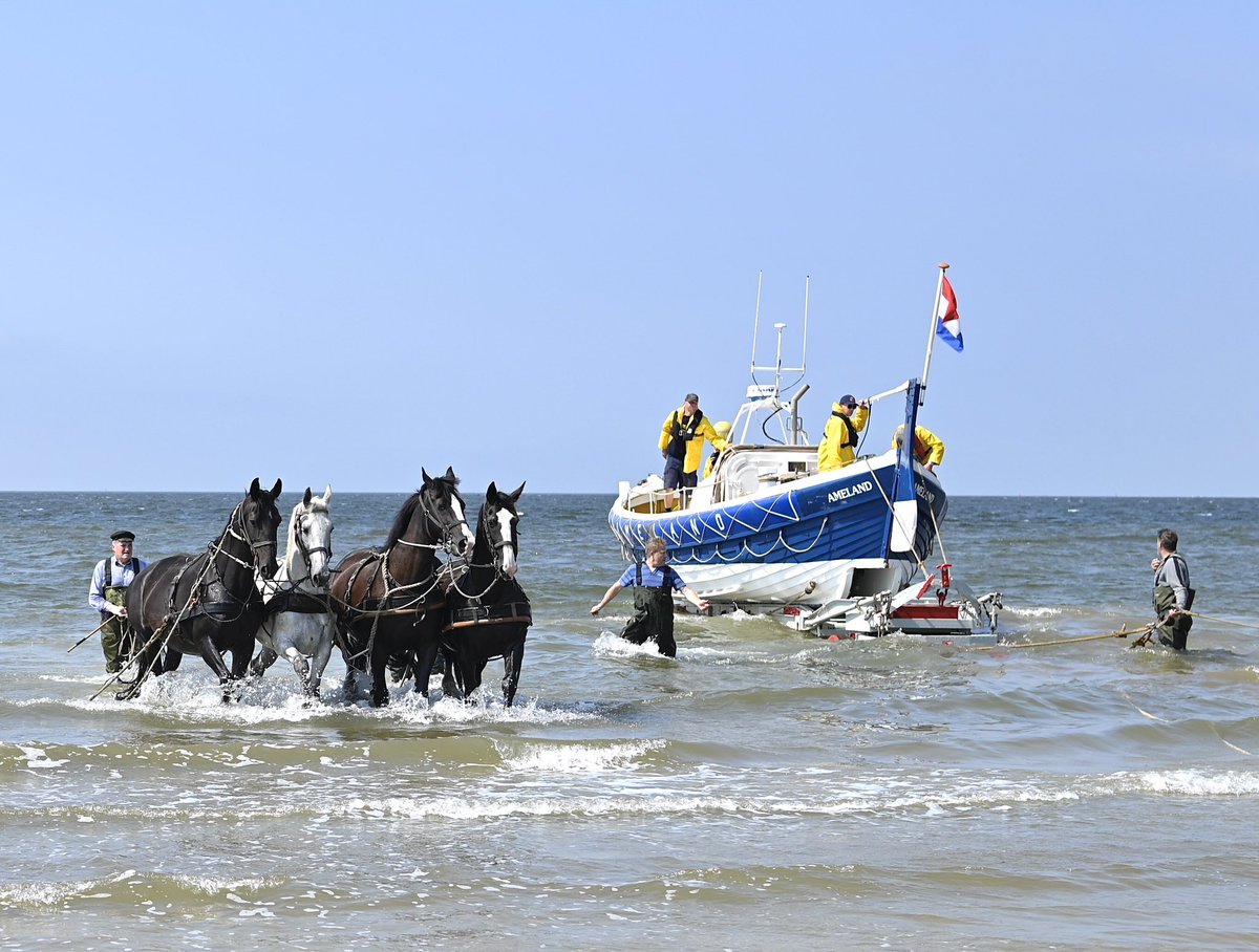 corienbs 🧶 🦅 (@corienbs) on Twitter photo Dag 22: #junieke_fotografie van <a href="/SiaWindig/">Sia Windig</a> #fotochallenge
Thema: #eigenkeuze #evenement
#paardenreddingboot - 22 juni 2024
#ameland
#hollum
Tip thema volgend jaar:
#gisteren #muisperspectief #girafperspectief #liefde #teamgevoel #gestrikt #hitte #vanachteren #gedicht #tattoo Dag 22: #junieke_fotografie van <a href="/SiaWindig/">Sia Windig</a> #fotochallenge
Thema: #eigenkeuze #evenement
#paardenreddingboot - 22 juni 2024
#ameland
#hollum
Tip thema volgend jaar:
#gisteren #muisperspectief #girafperspectief #liefde #teamgevoel #gestrikt #hitte #vanachteren #gedicht #tattoo