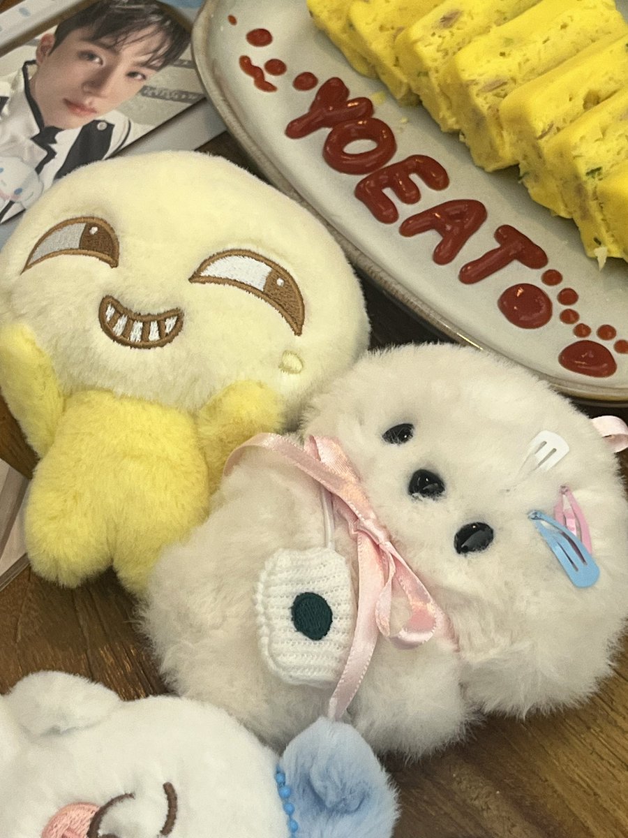 솜젠이가 맘에 들었나바