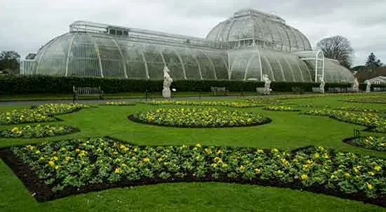 Envie d'une escapade au vert à #Londres? Partez visiter les Kew Gardens, une véritable invitation au voyage à travers les plantes! 
#Londresenfamille #visiterLondres  #visitLondres #KewGardens 
buff.ly/3PxfM4r