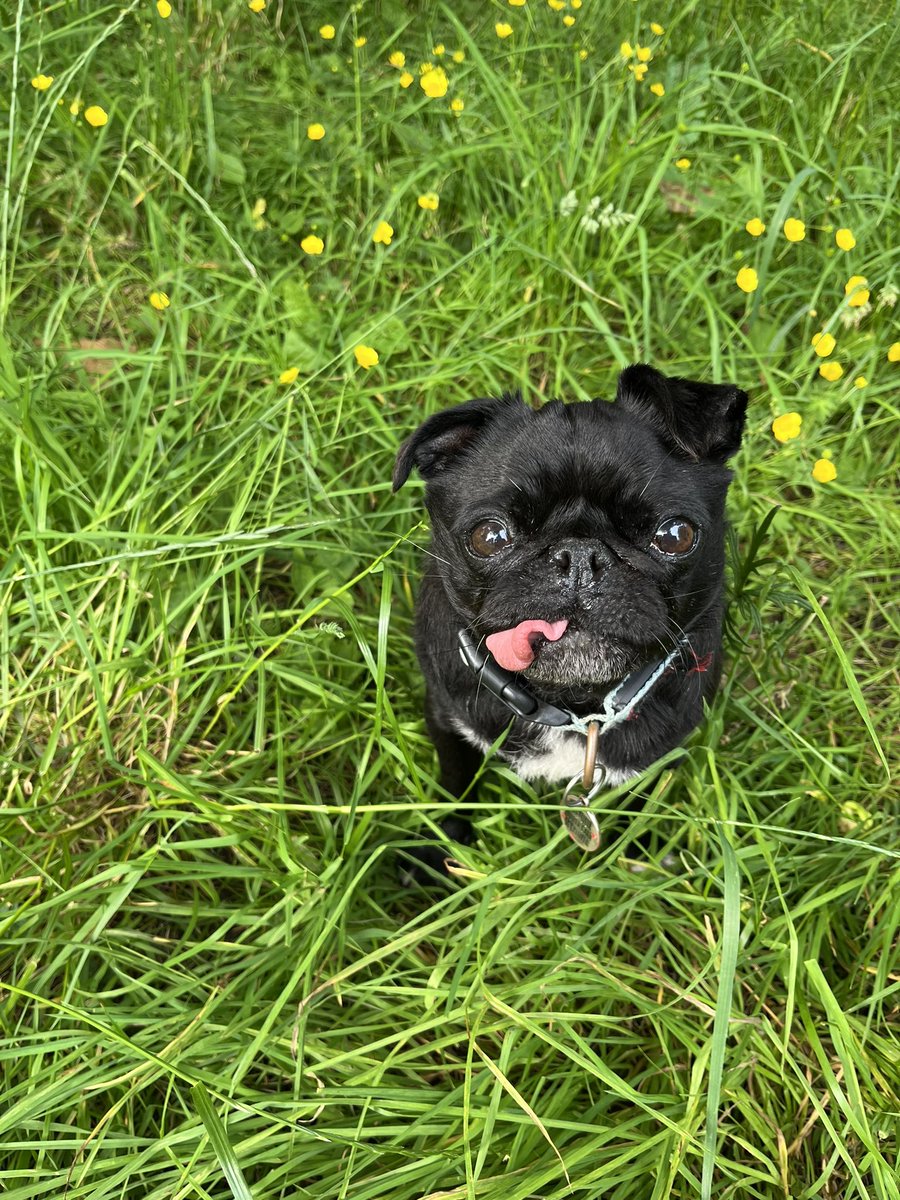 Dr Dr Kate Stevens💙 tweet media