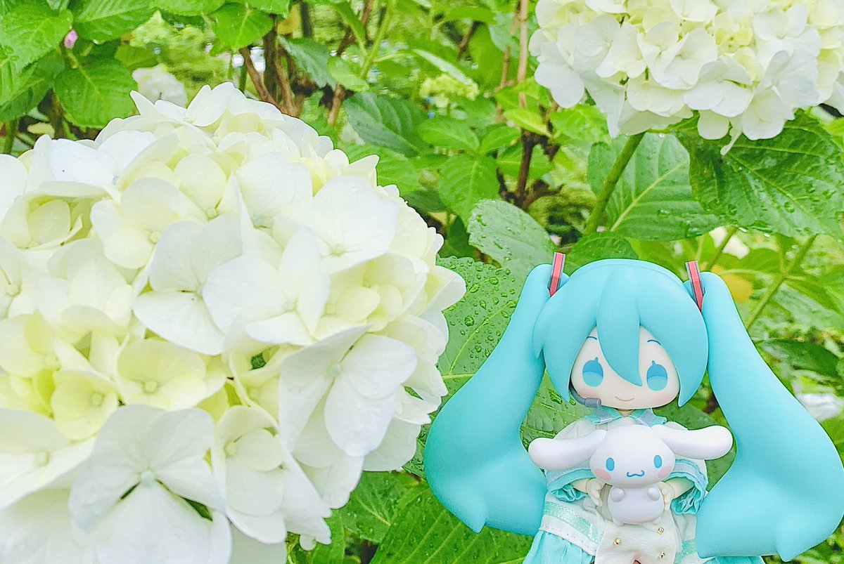 ちょっと前ですが、ミクちゃんと初旅行に行ってまいりました(´∀｀*)

ちゃんとしたお出掛けは初めてでしたが、想像の100倍楽しかったです(≧∀≦)

#ねんどろいどどーる