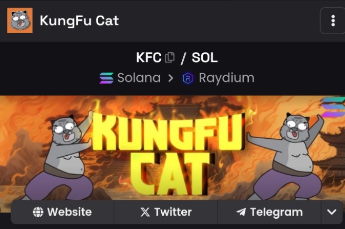 KungFu Cat COMMUNITY tweet media