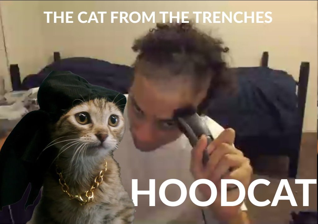 CryptoBoyGenius's tweet photo. @alienne_sophie @gordongekko $HOOD https://t.co/i0MFEYrM6r