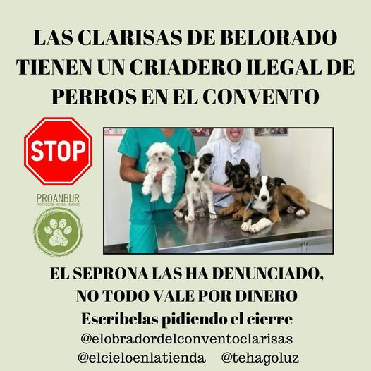 <a href="/ruben_prz/">Rubén Pérez</a> facebook.com/search/top/?q=…
