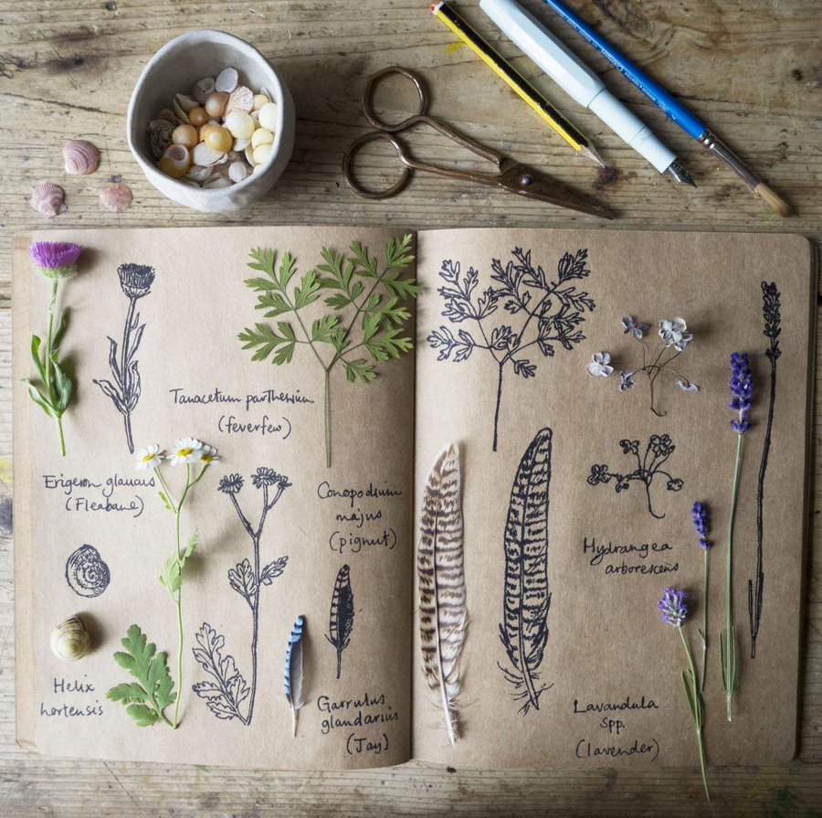 Emma Mitchell, UK designer-maker, naturalist, illustrator and author who creates work on maintaining wellbeing including highlighting nature as a remedy to better mental health #womensart
