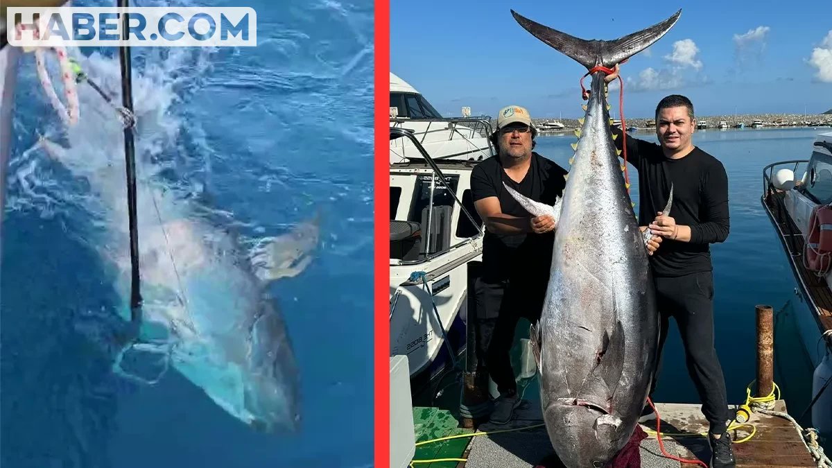 habercomsosyal's tweet photo. Hatay'da Tam 154 kilo Orkidos! 4 balıkçı 1 saat uğraşıp çıkardı

https://t.co/yWhBmSGbiB

#akdeniz #Hatay #Arsuz #Balık #Orkinos #Olda https://t.co/OpDFfYnjdE