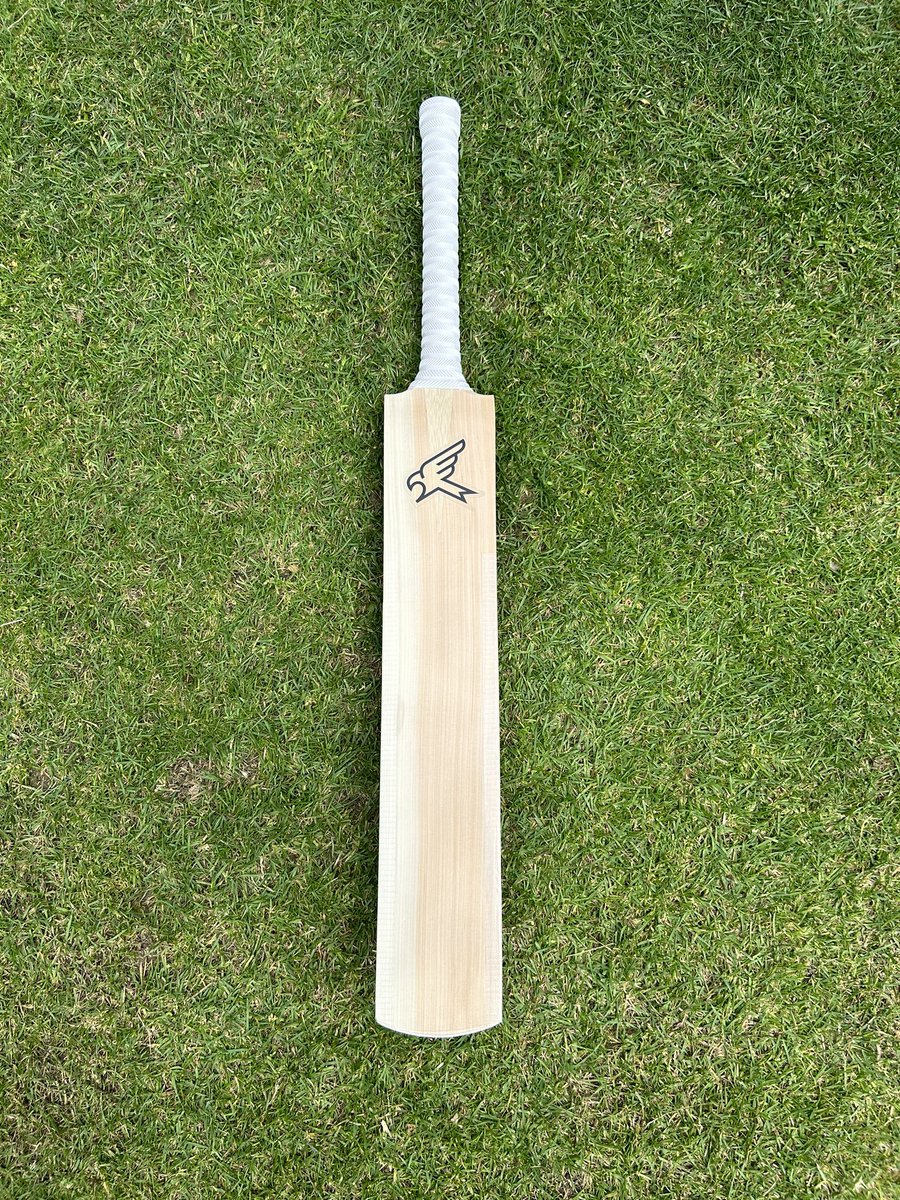 Kite Co. tweet media