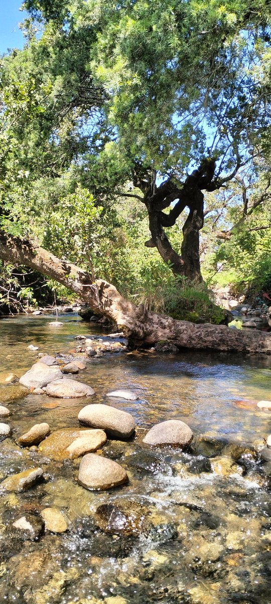 Nature flowing from Mt Kenya to Laikipia