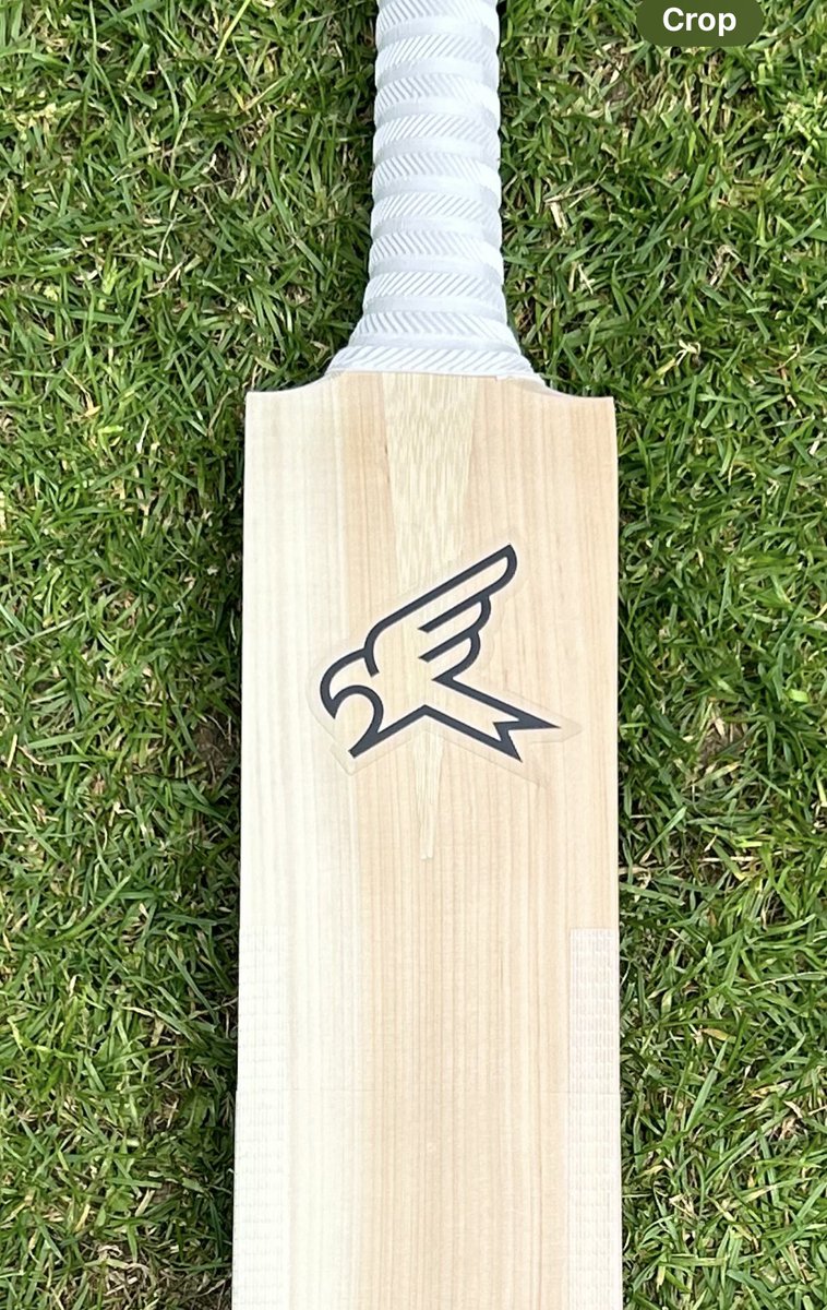 Kite Co. tweet media