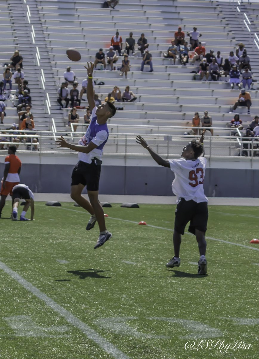 Timothy Rojas Friscia tweet media