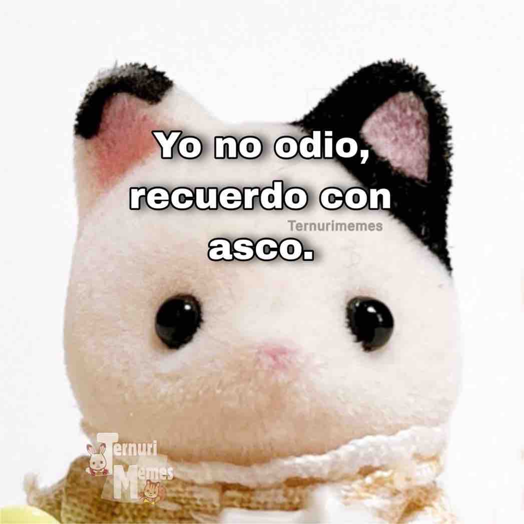 El Guarromántico tweet media