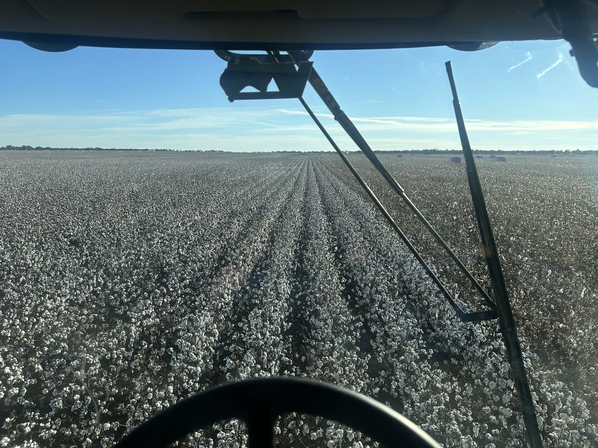 Found some country that is traffic-able finally with the pickers - not picking as clean as I’d like after receiving about 160mm over it, but still moving &amp; will still get something in behind it yet 🌾