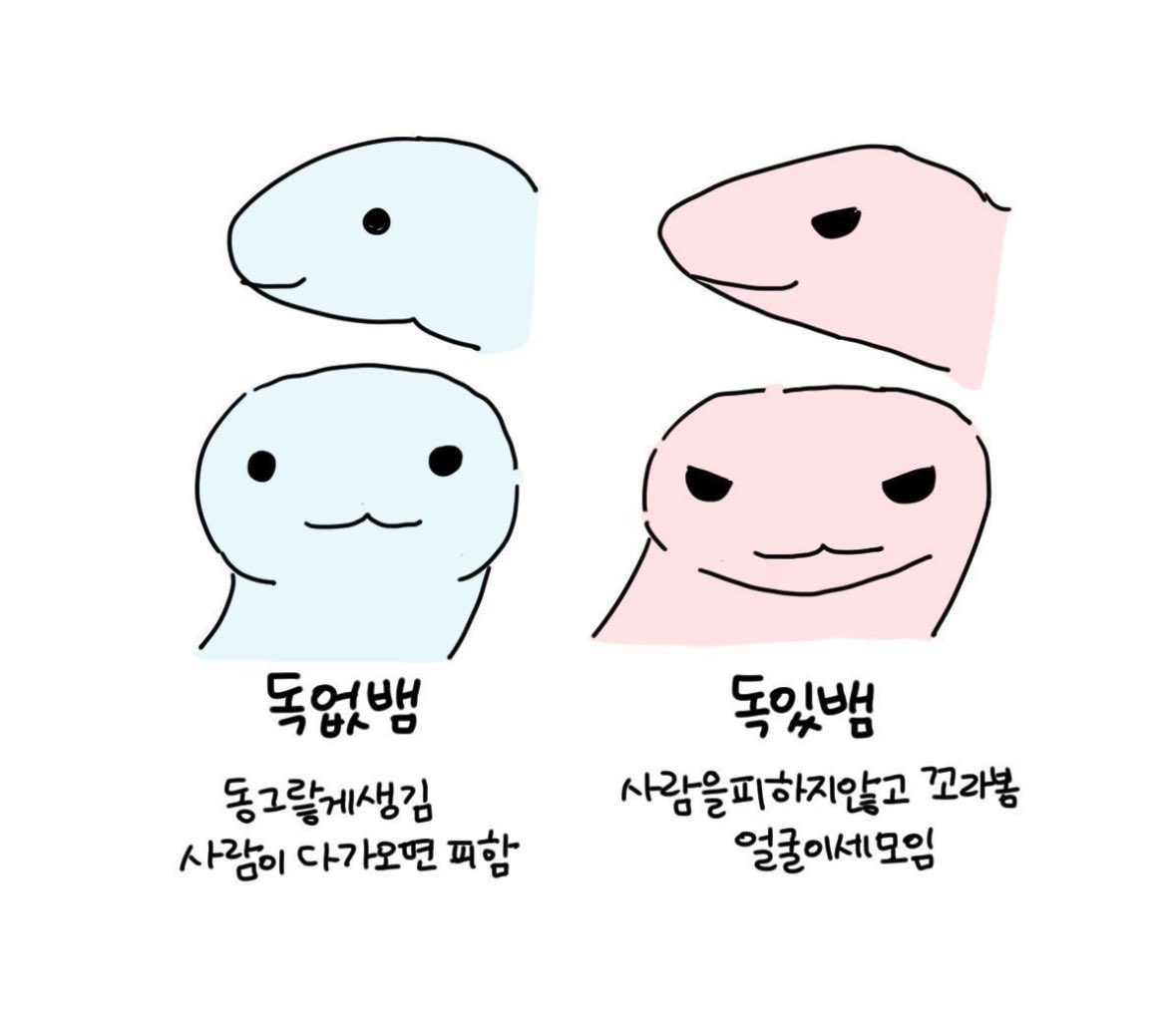 604__vIN's tweet photo. https://t.co/II0XskIysp