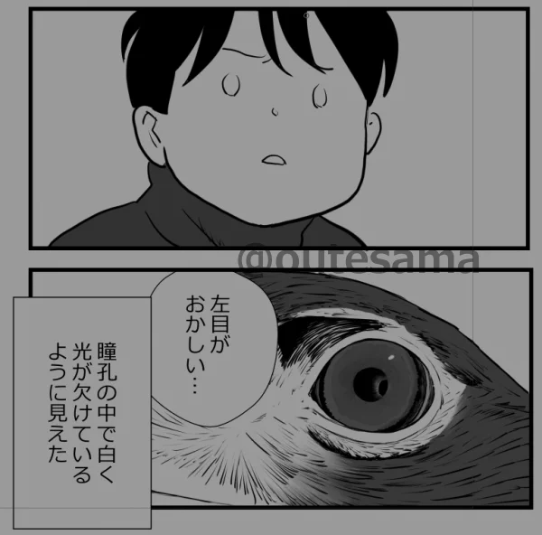 結局、これが最大の野生復帰できない理由となりました。
直接の救護理由は交通事故。
ただ、交通事故に遭う以前に、何かしらの体調不良があった可能性もあります。
そして、この救護個体のイヌワシの血液からも、鉛は検出されています。 