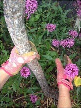 Can’t wait to get back out and start gardening but still not sure how to get started? Look no further, here are some of the best tools and accessories to help you get started on your gardening journey! 

#Gardening #Tools #Summer #Texas

buff.ly/2N4TuX2