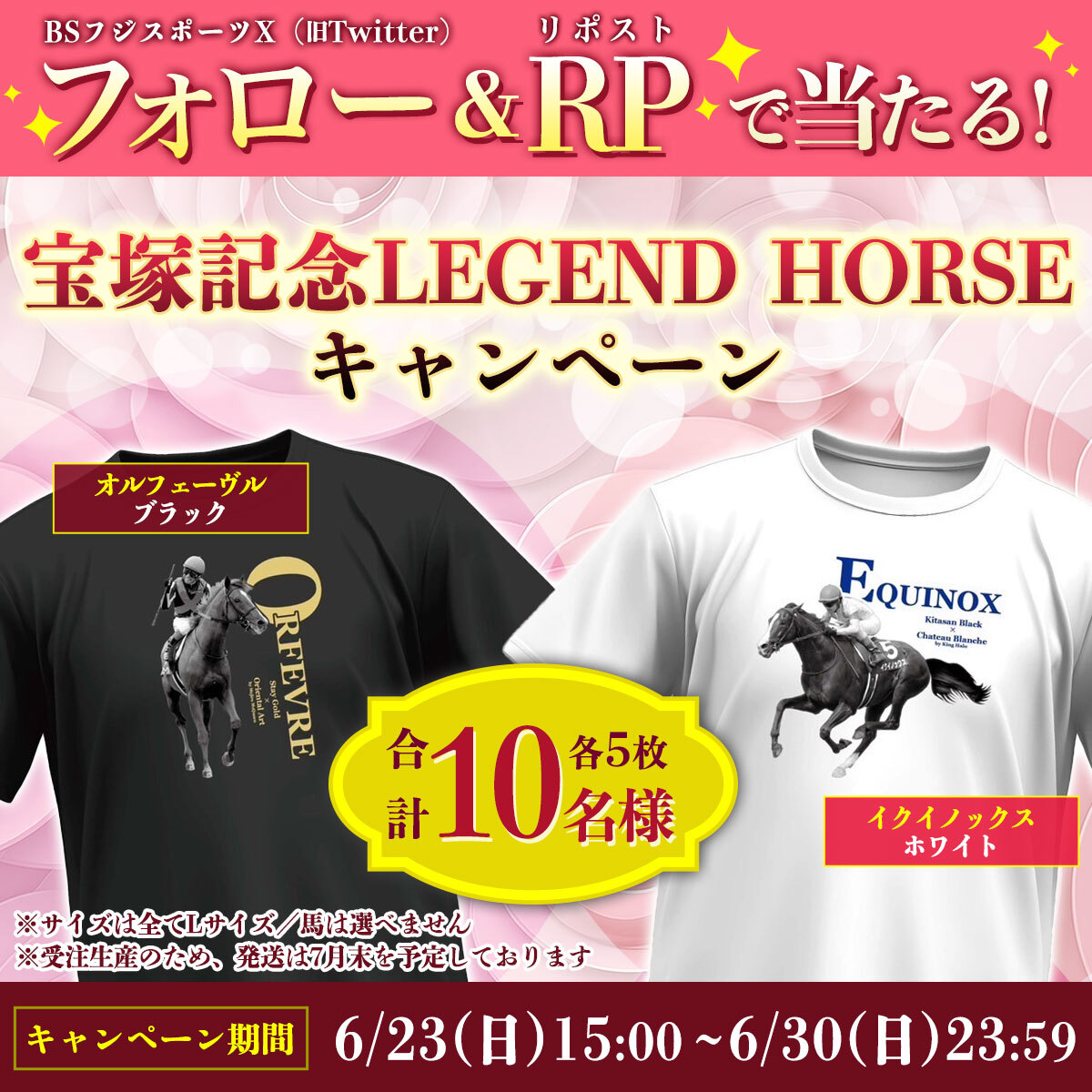 競馬メイショウタバル（2025年宝塚記念）Tシャツ（白／ホワイト）L