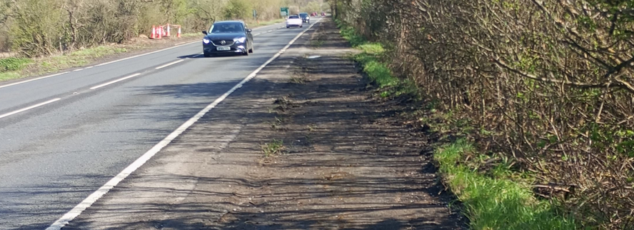 BespokeEB's tweet photo. Wasted opportunity - where @HighwaysSEAST could have built a 'shared path' along the A259 from #Pevensey to #Hooe. All this ground was cleared in April but then allowed to grow back. Not as if there are many other options for 🚴♂️🚵 to get to #Bexhill https://t.co/hOCMQBoTzJ