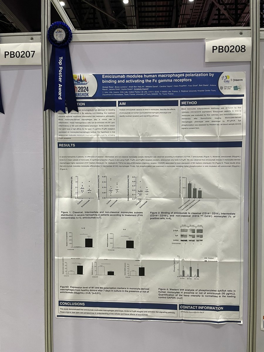 DanielMelanieMD's tweet photo. Come and check out @Team2_U1011 ‘s work at today’s poster session (PB0208 and PB0273). Congrats Pr Annabelle Dupont, Bruna Landeira and @Mickal_Rosa for the nomination for top poster award. #ISTH2024 https://t.co/NNKlwgDBxM