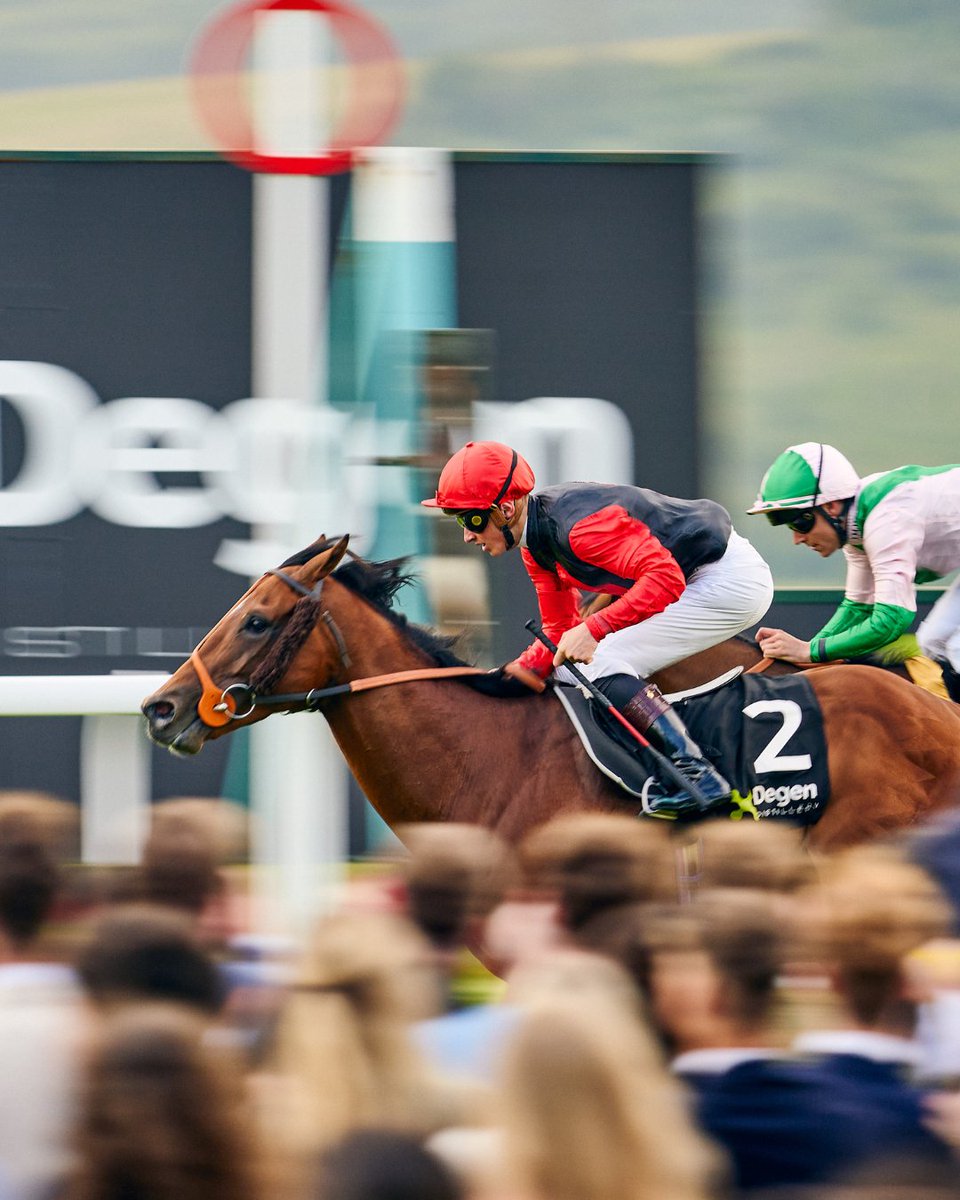 Goodwood_Races's tweet photo. And that's a wrap! Dimitri from Paris, you were incredible! 🙌🪩🏇 

What a brilliant end to this year's Three Friday Nights presented by @degendistillery series!  

Thank you to everyone who joined us, we can't wait to see you again next time 👏

#3FN #GoodwoodRaces #HorseRacing https://t.co/WdTj2mP2RM