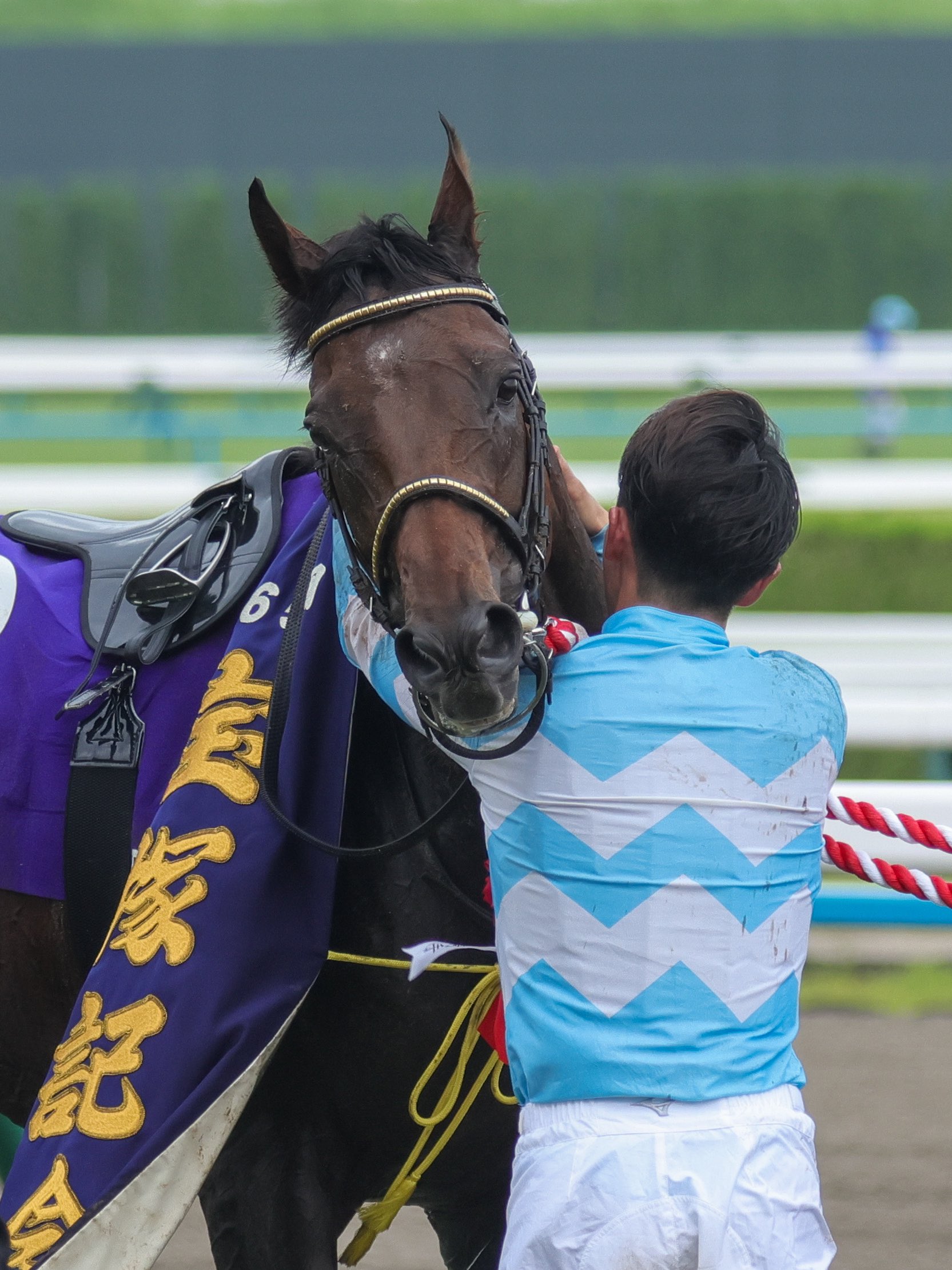 江口🏇(G (@akichoi1000) / X 江口🏇(G (@akichoi1000) / X