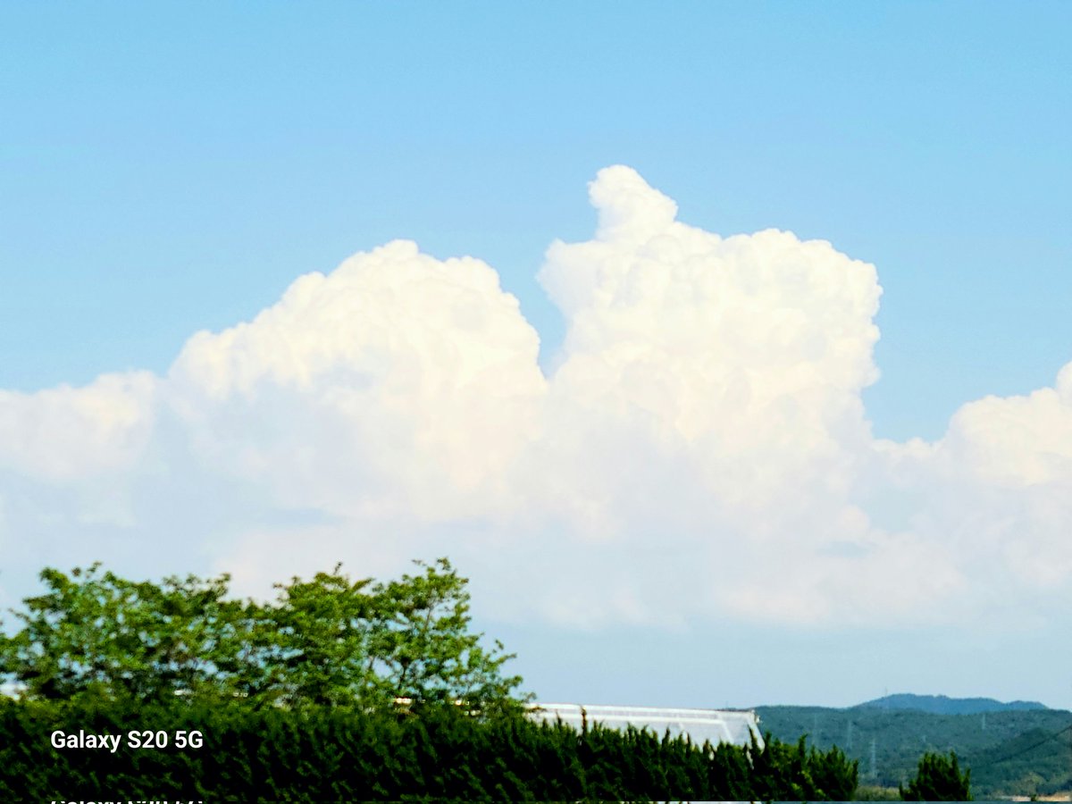 0126SSSS's tweet photo. 梅雨入りしちゃった…
当分爽やかな日は無いんだろうなぁ💧 https://t.co/0jiaRR0D3q