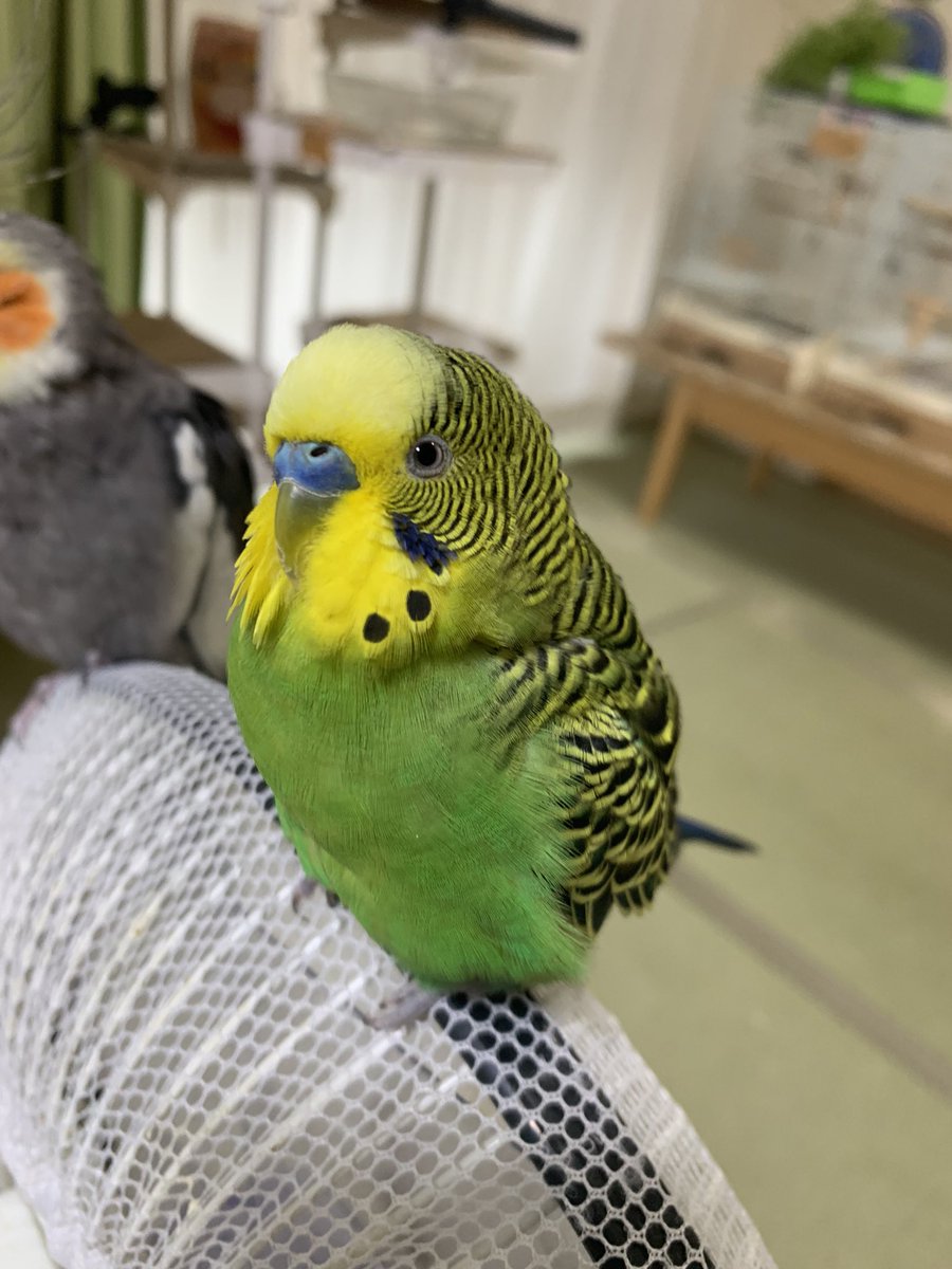 仲良しさん*:ஐ(●︎˘͈ ᵕ˘͈)人(˘͈ᵕ ˘͈●︎)ஐ:*