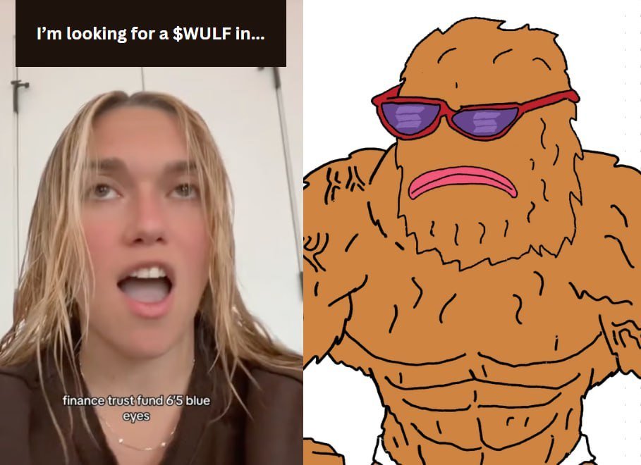 The Ape Cabal tweet media