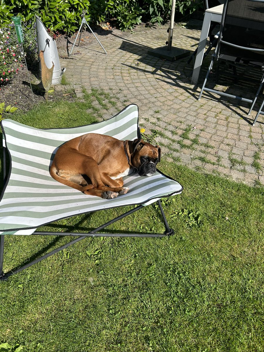 Nico Schotanus tweet media