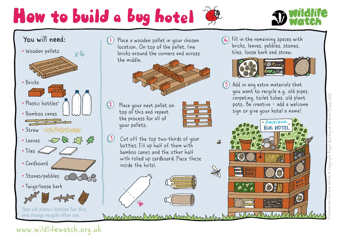 HMWTBadger's tweet image. 🐛🐜 Tomorrow marks the start of #NationalInsectWeek!

🎉 To celebrate, why not try making a luxury bug mansion for the creepy crawlies in your garden #30DaysWild.