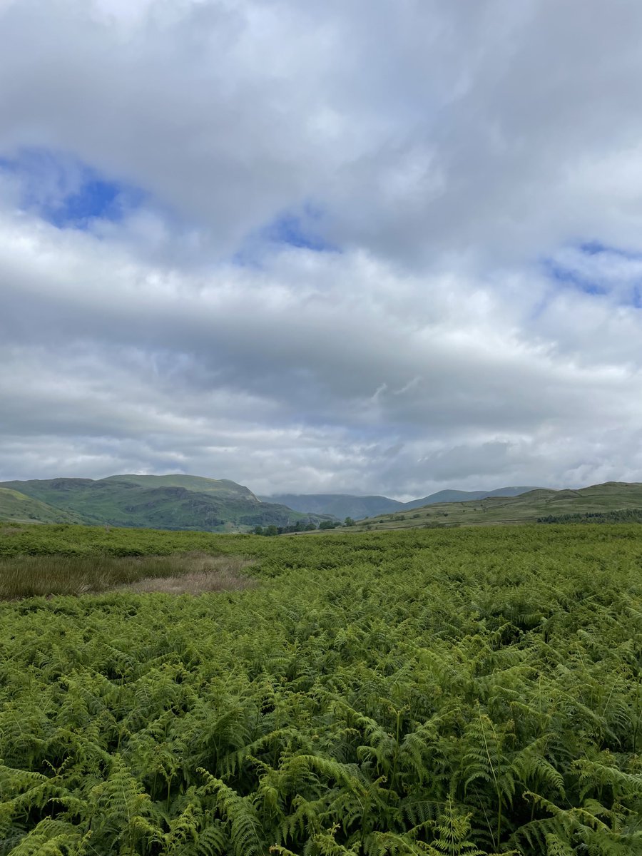 TimRumney's tweet image. Out for a morning hack with Rosie and Boris #LovetheLakes