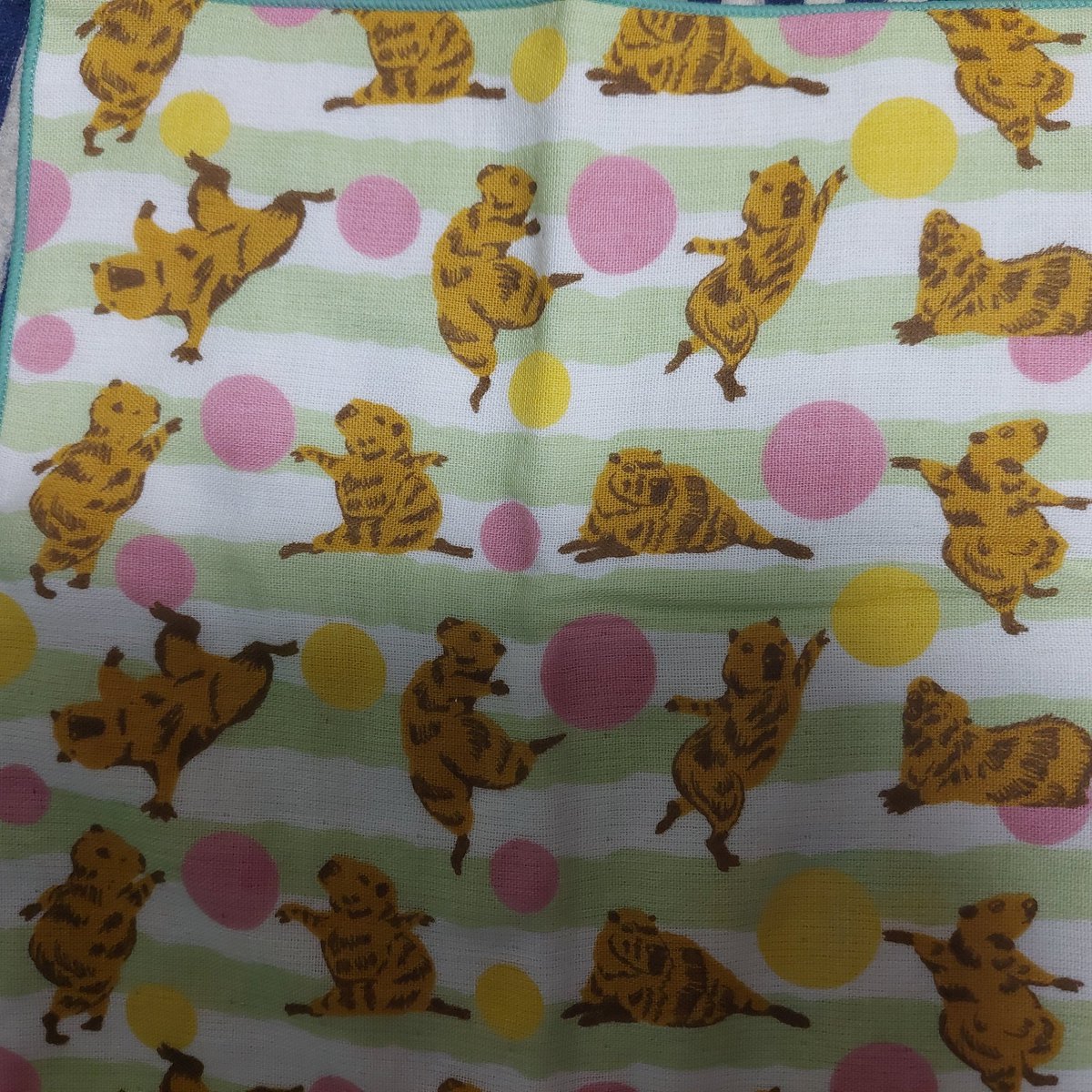 踊るカピバラハンカチを見つけて迷わず買ってしまた