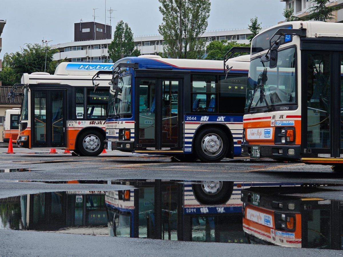 GQvpXiOa8AAa6dS.jpg?format=jpg