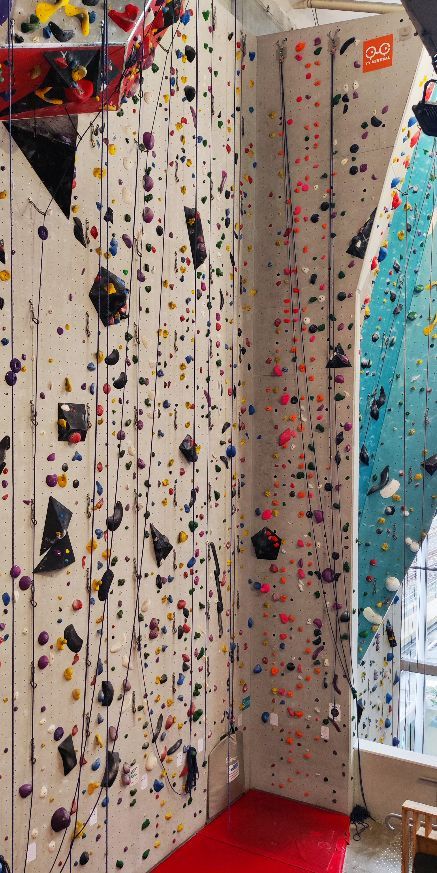 pirate_zen's tweet photo. Je viens de réussir à monter un niveau 4C sur un mur d'une douzaine de mètres malgré mes 110kg en assurage automatique. Et après un échauffement sur des petits murs fun.

Fier de moi

#estimedesoi #reussitepersonnelle https://t.co/YRxZ1Y9Ja7
