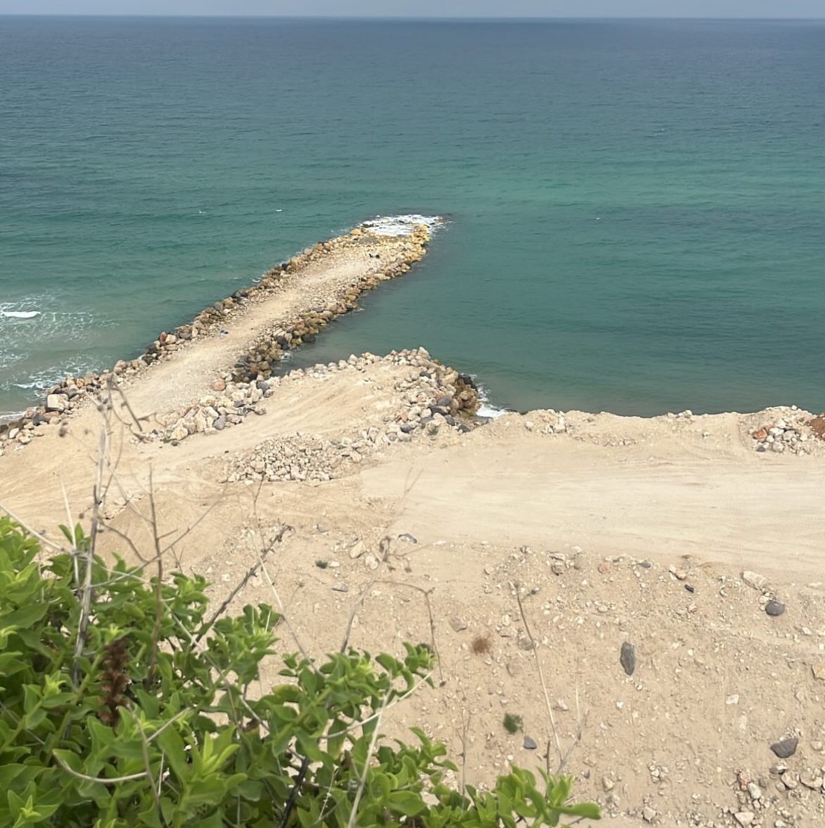 אורצ׳וק tweet media