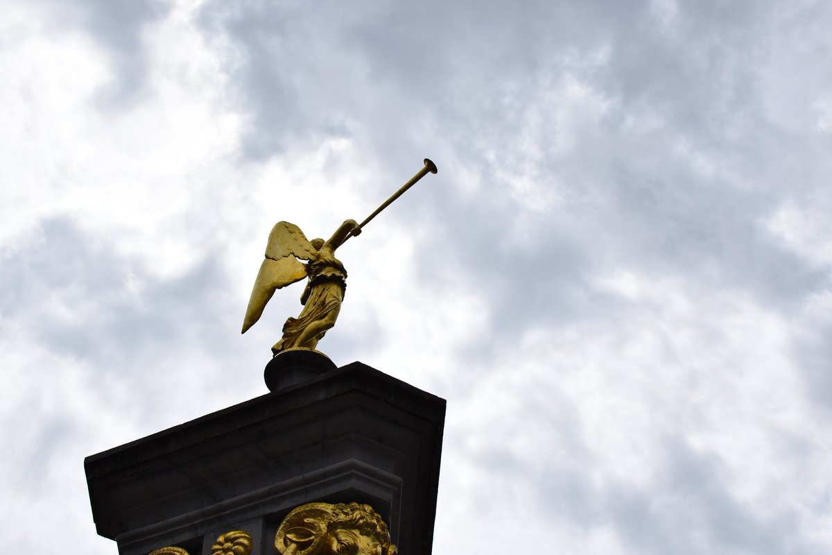 Only 1 week to go before the beginning of the Chitel! We are excited. Are you? 😃