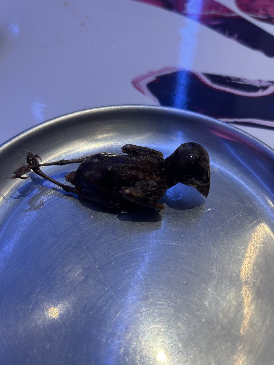 PANDAMAN_MH's tweet photo. ごめん
先に食べてるわ https://t.co/m8DYZUQIN8