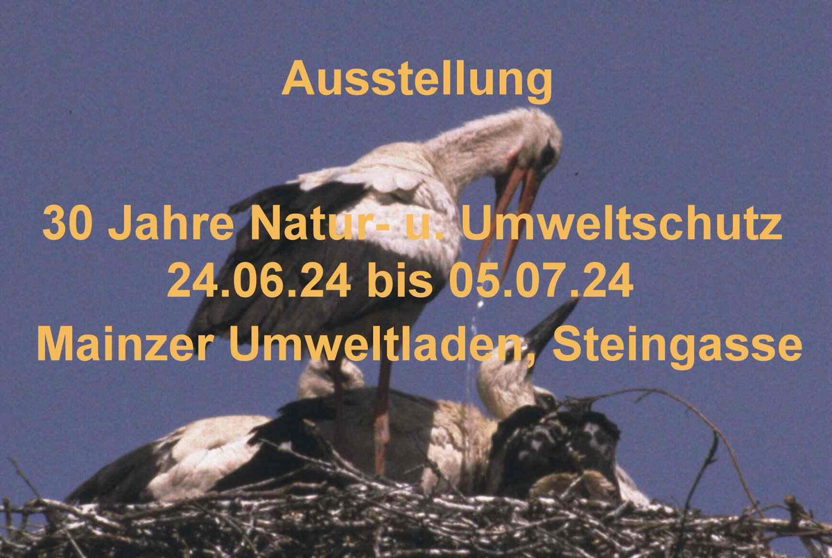 akumweltmombach's tweet photo. Seit 30 Jahren ist der Arbeitskreis Umwelt Mombach im Natur- und #Umweltschutz aktiv.
Arbeitsschwerpunkte sind dabei der europaweit einzigartige Mainzer Sand, das Mombacher Oberfeld, die #Storchenwiesen in der Mombacher und Budenheimer Rheinaue. https://t.co/cX8PRJ4rtX